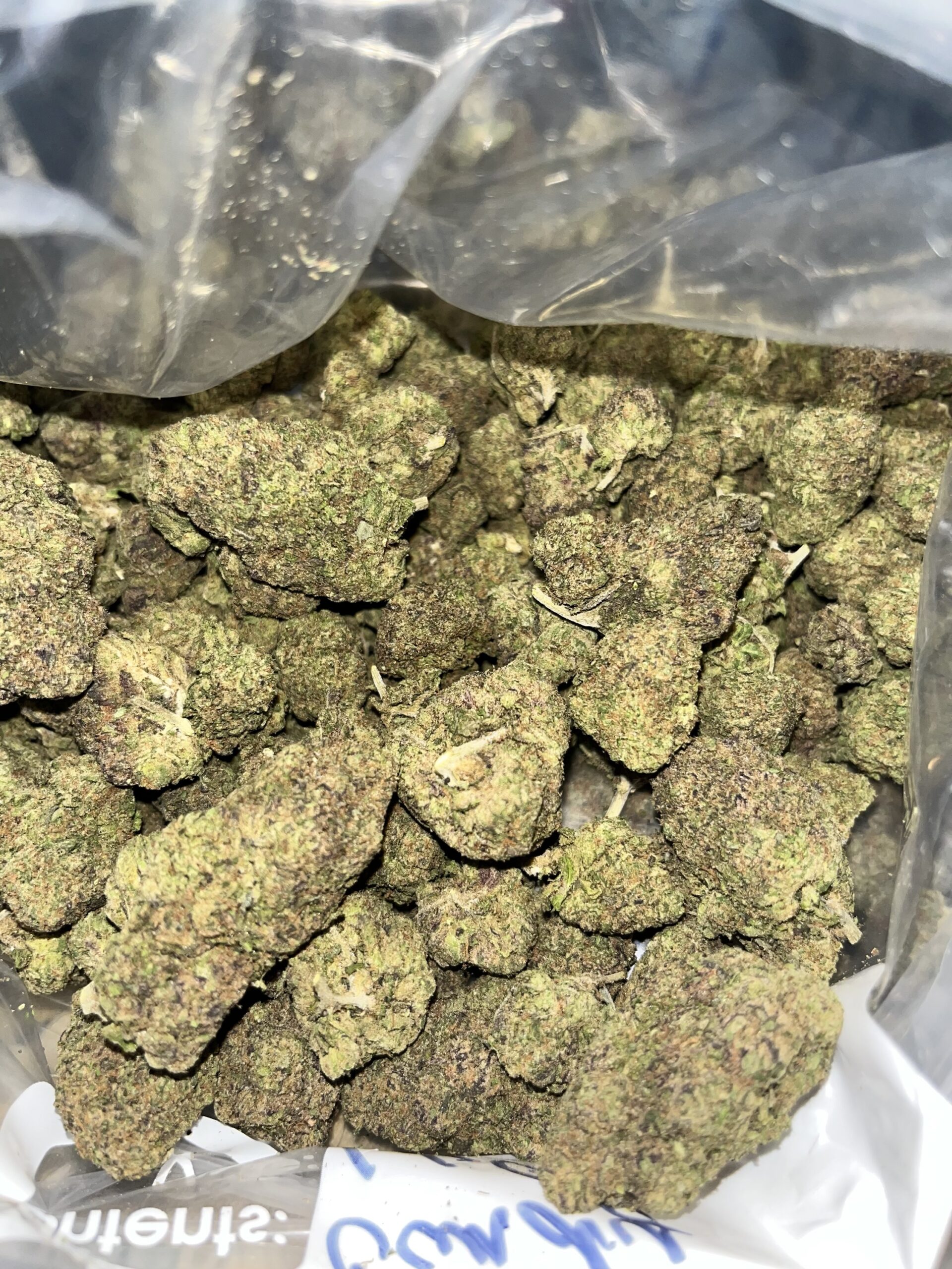 Lemon Berry Candy OG Roc City Premiums